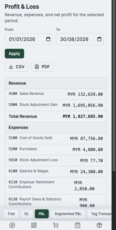 A year-to-date profit-and-loss report using sample company records in a mobile browser.